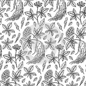 Hand drawn ginseng seamless pattern. Vector illustration in sketch style. Medicinal plant background. Botany design