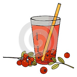 Hand drawn glass of cranberry juice with a branch of cranberries