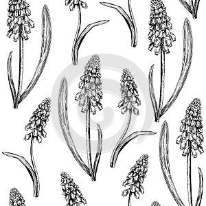 Hand-drawn grape hyacinth background design. Vintage woodland flowers sketches. Seamless spring pattern. Forest plant and wild