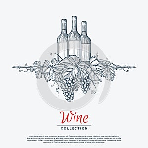 Hand drawn grape wreath with wine bottles. Template for your design works.