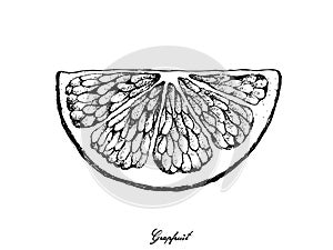 Hand Drawn of Grapefruit Fruit on White Background