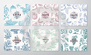 Hand Drawn Grapes, Fruits, Cocoa Beans, Mint, Nuts and Spices Cards Set. Abstract Vector Sketch Pattern Backgrounds