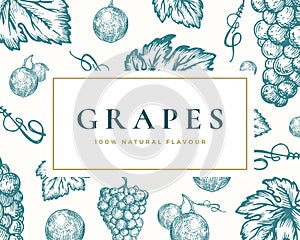 Hand Drawn Grapes Illustration Card. Abstract Vector Grape Bunch and Leaves Sketch Background with Classy Retro