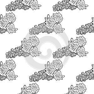 Hand drawn grapes seamless pattern. Bunch of grapes on white background