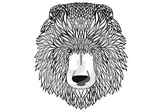 Hand Drawn Graphic Bear.Bear Head Logo Mascot