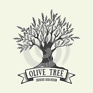 Hand-drawn graphic logo with olive tree. Vector illustration.