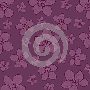 Hand-drawn Graphic Orchid: Amesiella Pop Colour 006