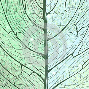 Hand drawn green background leaf structure