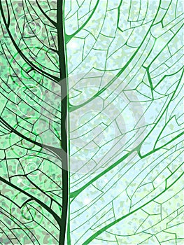 Hand drawn green vertical background with leaf