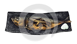 Hand drawn grilled mackerel fish