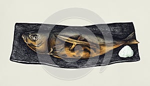 Hand drawn grilled mackerel fish