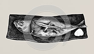 Hand drawn grilled mackerel fish