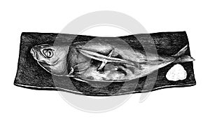 Hand drawn grilled mackerel fish