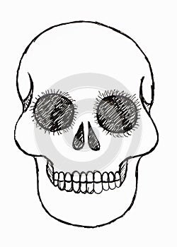 A hand drawn grinning scull with big eyes.