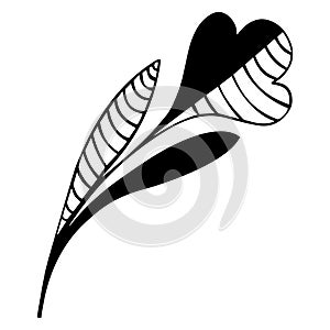 Hand-drawn half black and white and striped symbolic flower with stem and leaves. Decorative abstract tulip. For tattoo, logo, des