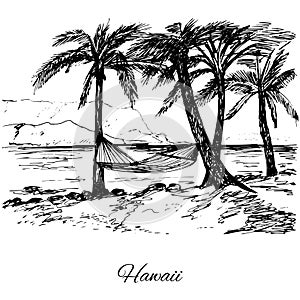 Hand drawn hammock around palm trees