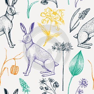 Hand-drawn hares background design. Vintage woodland flower sketches. Seamless spring pattern. Forest plants, wildflowers, and
