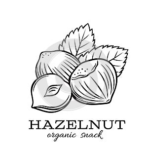 Hand drawn hazelnut