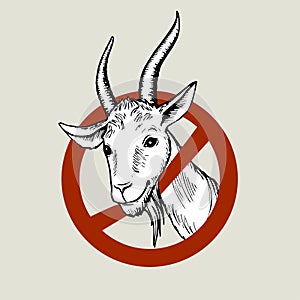 Hand drawn head of a white goat, peeking out of the prohibitory road sign. Colored hand-painted vector drawing