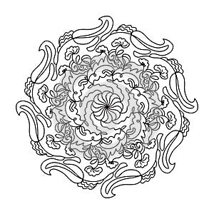 Hand-drawn Henna Mandala Doodle Flowers  Illustration