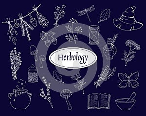 Hand-drawn herbology elements set. Green witch elements doodles.