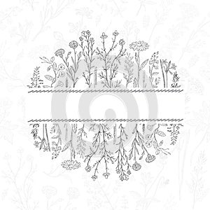 Hand drawn herbs and flowers background. Place for text.