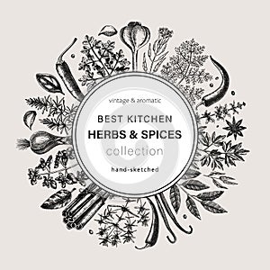 Hand-drawn herbs and spices round design. Hand-sketched food vintage wreath. Vintage aromatic plants hand-drawing. Kitchen herbs
