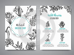 Hand drawn herbs and wild flowers cards Vintage collection of Plants Vector illustrations in sketch style