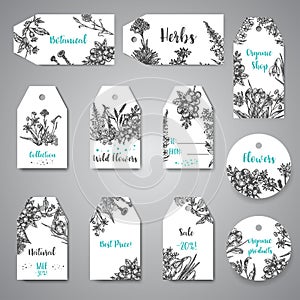 Hand drawn herbs and wild flowers tags and labels Vintage collection of Plants Vector illustrations in sketch style