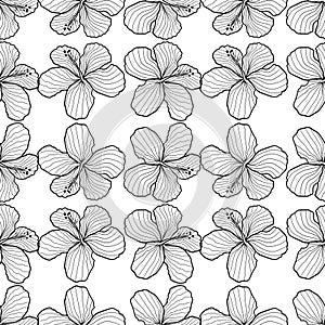 hand drawn hibicus flower seamless pattern
