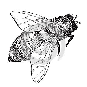 Hand drawn honey bee in zentangle style.