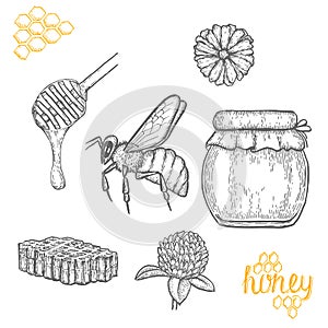Hand drawn honey set over white background