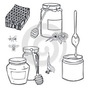 Honey set. Vector illustration