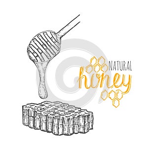 Hand drawn honey stick and honey comb over white background