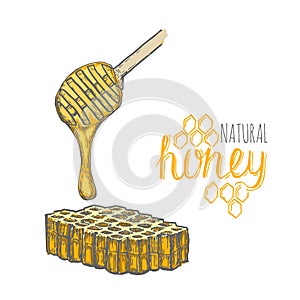 Hand drawn honey stick and honey comb over white background
