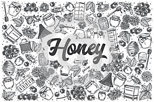 Hand drawn honey vector doodle set.