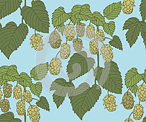 Hand drawn hop branch decorative background. Ethnic seamless pattern ornament. Vector pattern