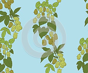 Hand drawn hop branch decorative background. Ethnic seamless pattern ornament. Vector pattern