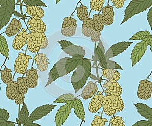 Hand drawn hop branch decorative background. Ethnic seamless pattern ornament. Vector pattern