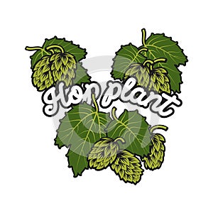 Hand drawn hops plant