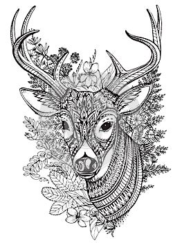 Hand drawn horned deer with high details ornament