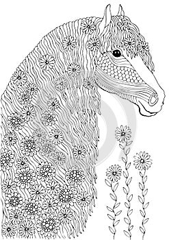 Hand drawn horse head with flowers, coloring page