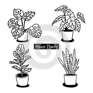 Hand drawn house plants in pots.