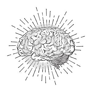 Hand drawn human brain with sunburst anatomically correct art. Flash tattoo or print design vector illustration