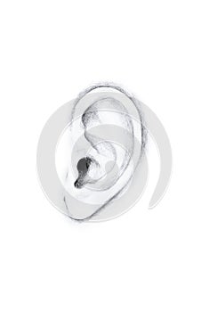 Hand-drawn human ear on white background. Art illustration black and white pencil drawing