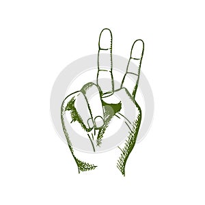 Hand drawn human hand. Sign of peace. Vector illustration. Drawing logo, icon, symbol