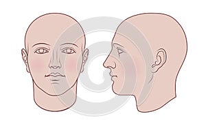 Hand Drawn Human Head in 2 Views, Colored Variant