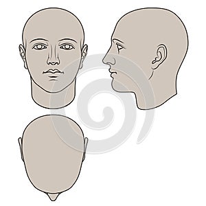 Hand Drawn Human Head in 3 Views