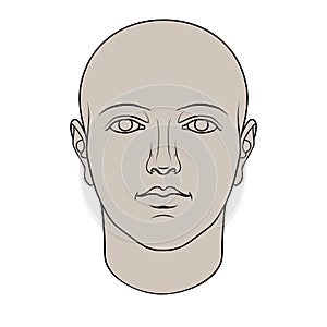 Hand Drawn Human Head in Face