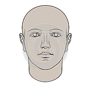 Hand Drawn Human Head in Face photo